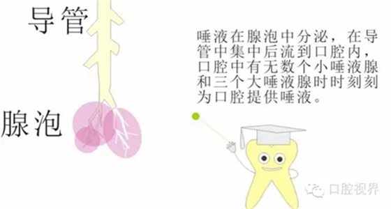 5.webp (1).jpg 5.webp (1).jpg