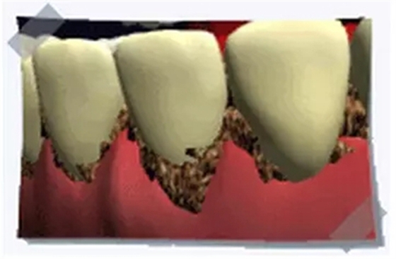 4.webp.jpg 4.webp.jpg