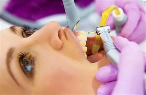 5.webp.jpg 5.webp.jpg