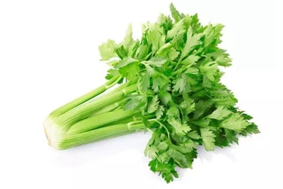 1.webp.jpg 1.webp.jpg