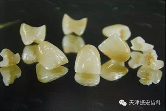 5.webp.jpg 5.webp.jpg