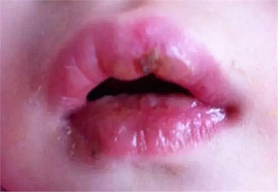 4.webp.jpg 4.webp.jpg