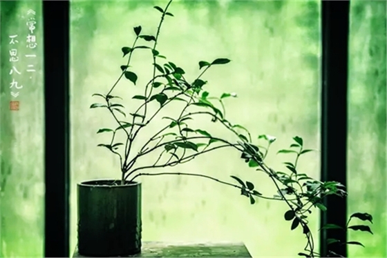 2.webp.jpg 2.webp.jpg