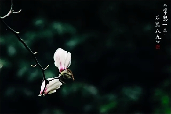 3.webp.jpg 3.webp.jpg