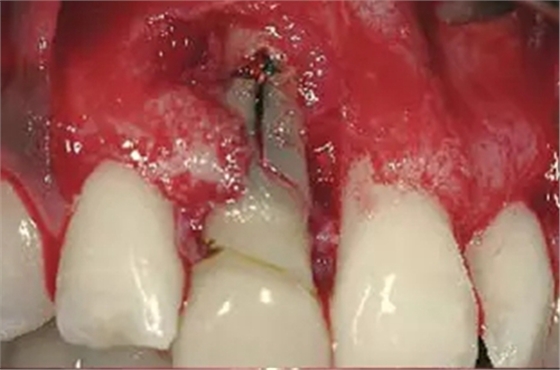 3.webp.jpg 3.webp.jpg