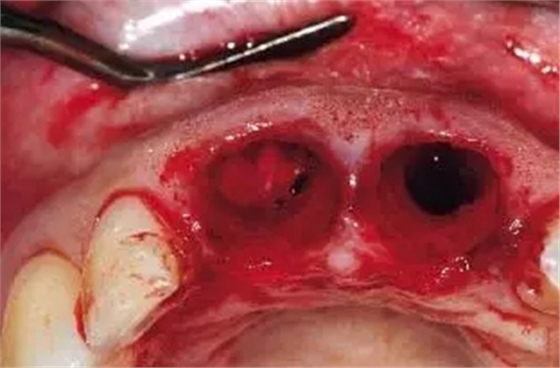 17.webp.jpg 17.webp.jpg