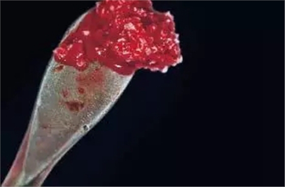 22.webp.jpg 22.webp.jpg