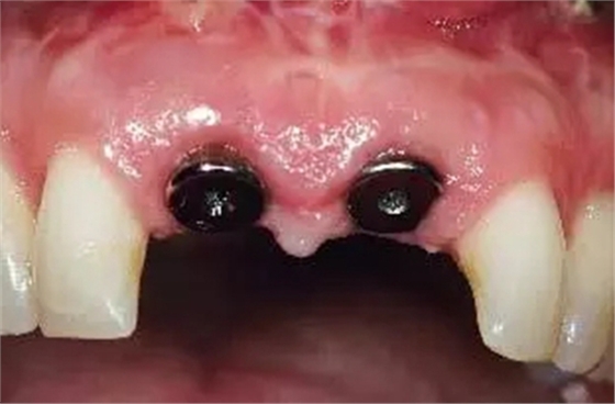 24.webp.jpg 24.webp.jpg