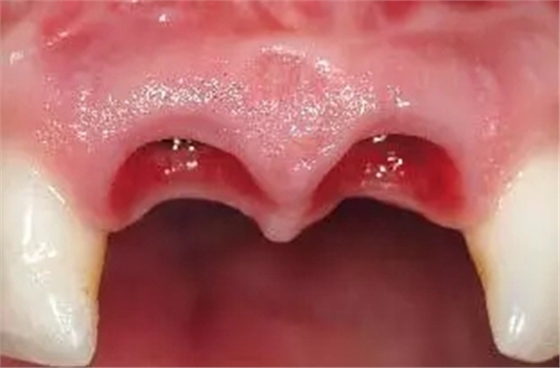 25.webp.jpg 25.webp.jpg