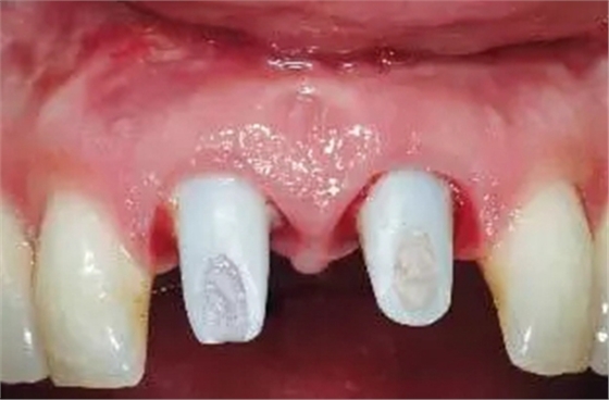 26.webp.jpg 26.webp.jpg