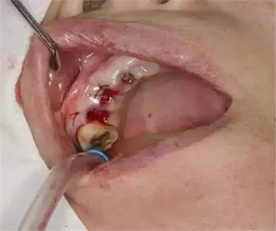 6.webp.jpg 6.webp.jpg