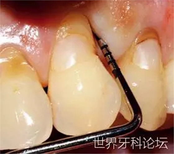 1.webp.jpg 1.webp.jpg