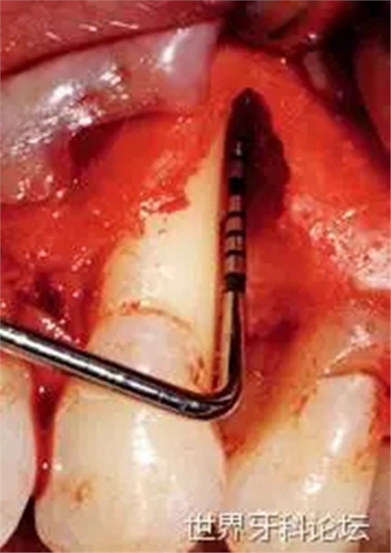 2.webp.jpg 2.webp.jpg