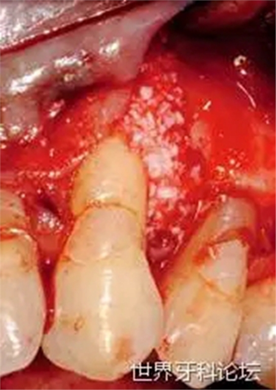 4.webp.jpg 4.webp.jpg