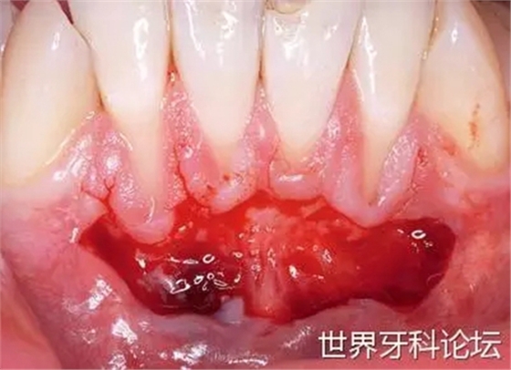 9.webp.jpg 9.webp.jpg