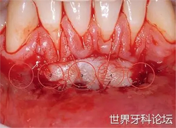 10.webp.jpg 10.webp.jpg