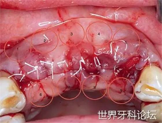 18.webp.jpg 18.webp.jpg