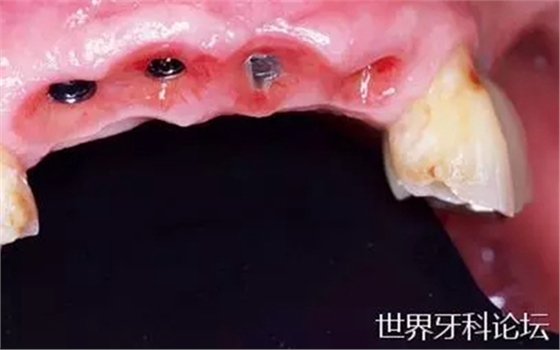 21.webp.jpg 21.webp.jpg