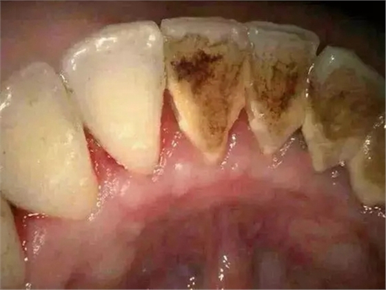 1.webp.jpg 1.webp.jpg