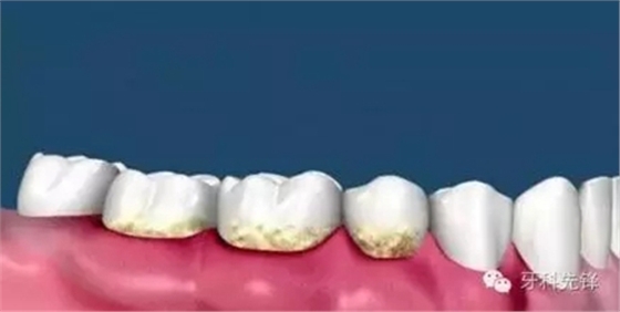 1.webp.jpg 1.webp.jpg