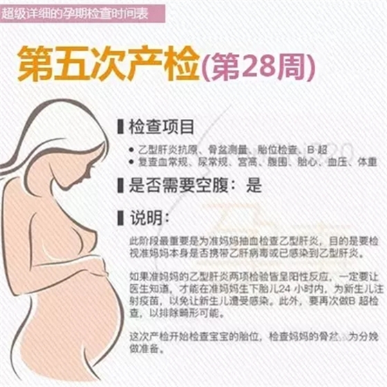 5.webp.jpg 5.webp.jpg