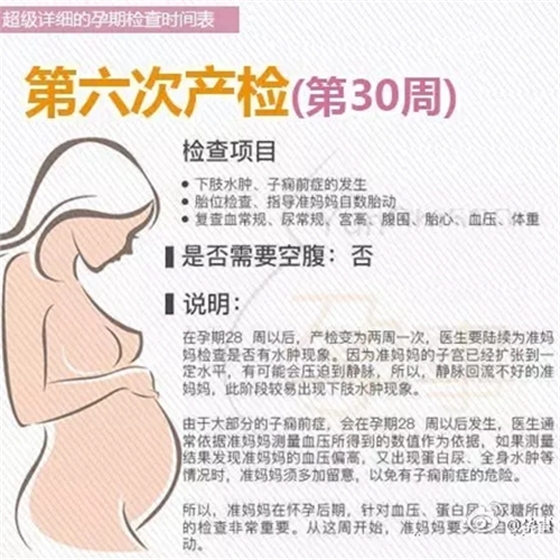 6.webp.jpg 6.webp.jpg