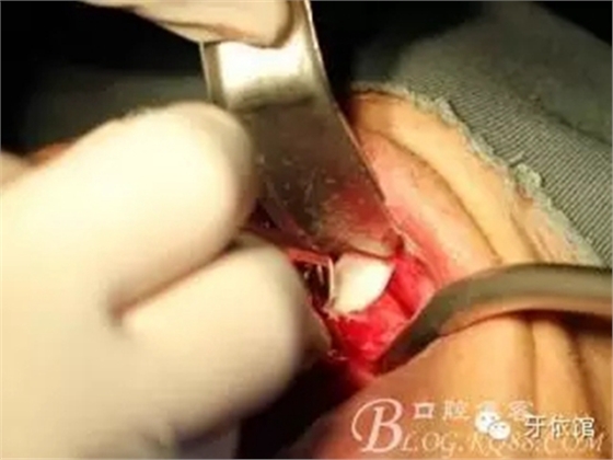 8.webp.jpg 8.webp.jpg