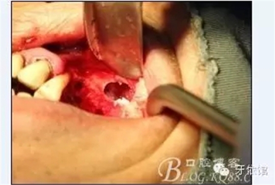 12.webp.jpg 12.webp.jpg