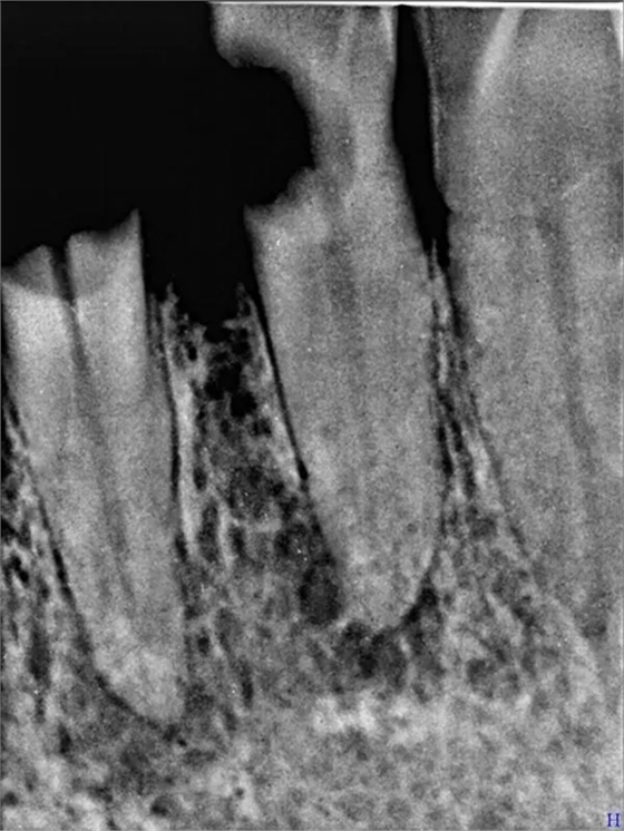 3.webp.jpg 3.webp.jpg