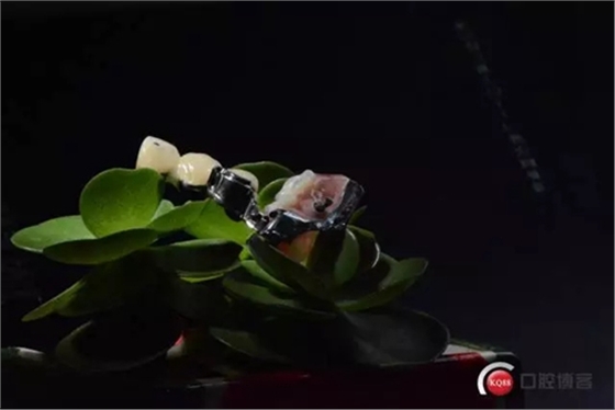 8.webp.jpg 8.webp.jpg