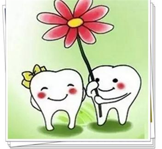 上海品瑞邁格磁致伸縮治療儀 上海品瑞邁格磁致伸縮治療儀