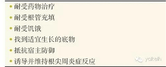 根管治療后根尖周炎(繼發(fā)感染) 科貿(mào)嘉友收錄 根管治療后根尖周炎(繼發(fā)感染) 科貿(mào)嘉友收錄