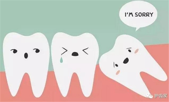 智齒一定要拔嗎? 智齒一定要拔嗎?