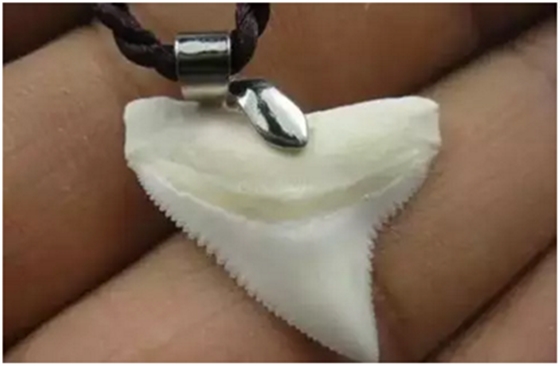 固定假牙(烤瓷牙)的致命缺點 固定假牙(烤瓷牙)的致命缺點