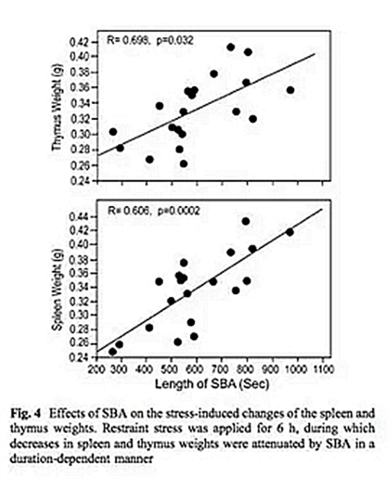 正畸文獻閱讀--磨牙癥影響大鼠的應激反應 正畸文獻閱讀--磨牙癥影響大鼠的應激反應