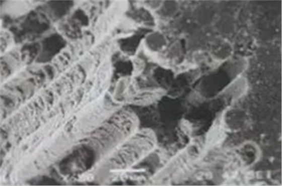 纖維樁修復(fù)之精細(xì)操作 纖維樁修復(fù)之精細(xì)操作