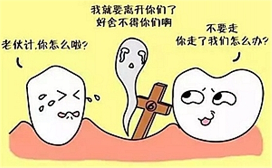 愛牙科普 愛牙科普