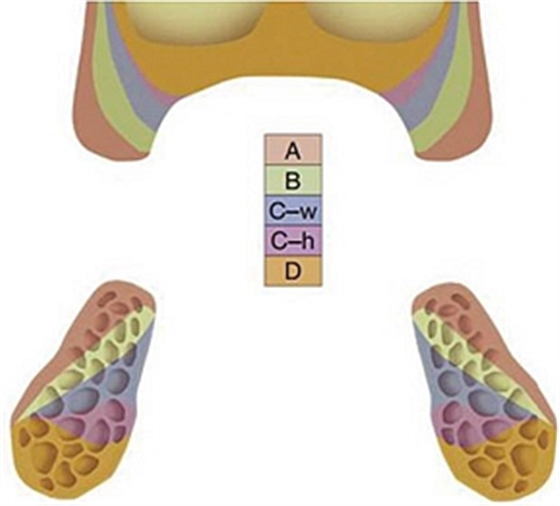 無牙頜種植修復的檢查與設計——施斌教授 無牙頜種植修復的檢查與設計——施斌教授