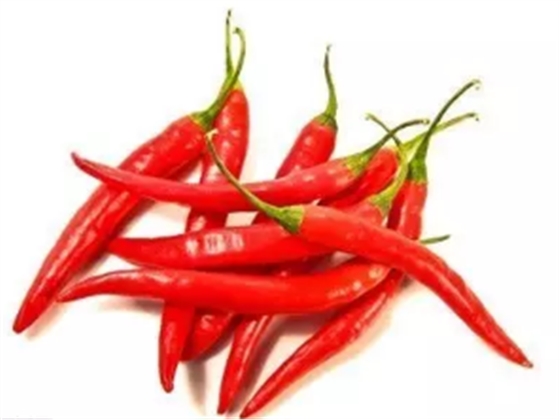 老中醫(yī)教你養(yǎng)生之道 老中醫(yī)教你養(yǎng)生之道