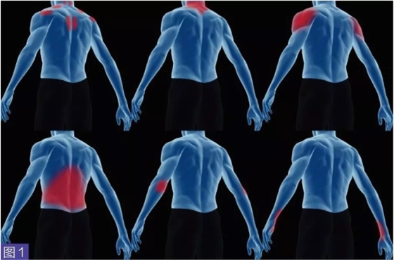 正確運用人體工程學(xué)避免職業(yè)損傷 正確運用人體工程學(xué)避免職業(yè)損傷