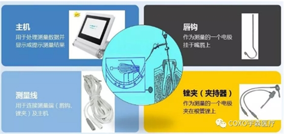 多頻技術(shù)的根管長(zhǎng)度測(cè)定儀 多頻技術(shù)的根管長(zhǎng)度測(cè)定儀