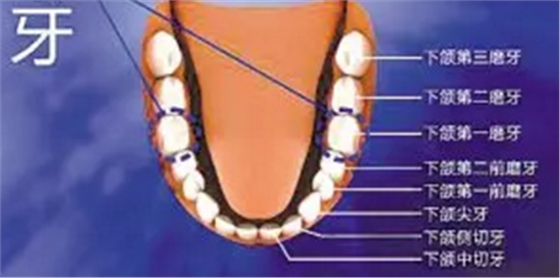 兒童齲病的預(yù)防 兒童齲病的預(yù)防