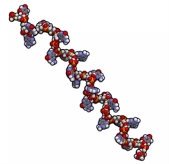 貼面?zhèn)溲乐嗌伲? alt=