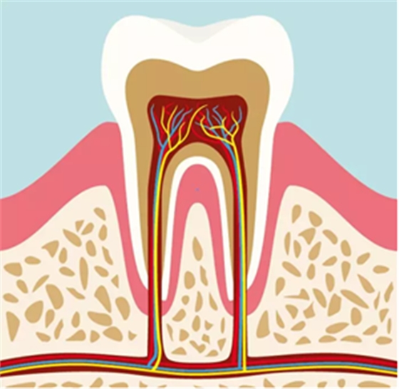 貼面?zhèn)溲乐嗌伲? alt=