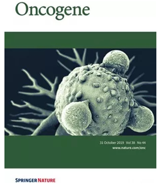 牙周炎癥可以誘發(fā)乳腺癌細(xì)胞遠(yuǎn)處轉(zhuǎn)移 牙周炎癥可以誘發(fā)乳腺癌細(xì)胞遠(yuǎn)處轉(zhuǎn)移