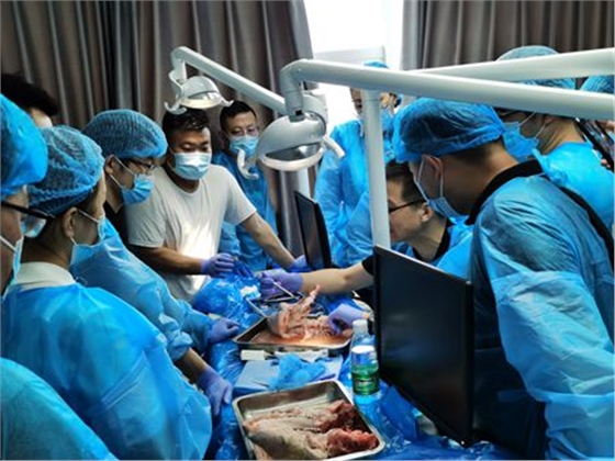 張東星老師杭州微創(chuàng)拔牙課實(shí)操培訓(xùn)分享 張東星老師杭州微創(chuàng)拔牙課實(shí)操培訓(xùn)分享