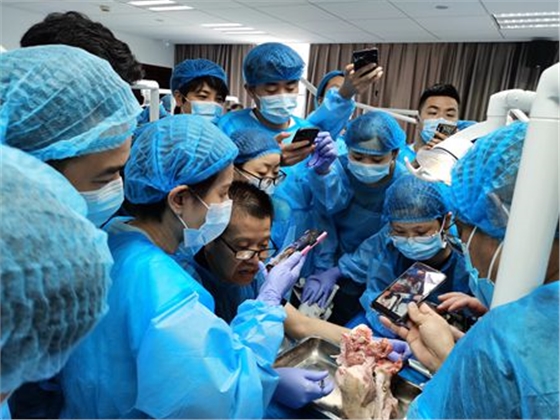 張東星老師杭州微創(chuàng)拔牙課實(shí)操培訓(xùn)分享 張東星老師杭州微創(chuàng)拔牙課實(shí)操培訓(xùn)分享