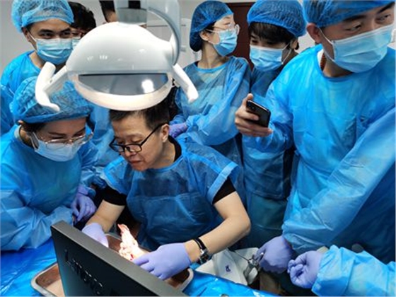 張東星老師杭州微創(chuàng)拔牙課實(shí)操培訓(xùn)分享 張東星老師杭州微創(chuàng)拔牙課實(shí)操培訓(xùn)分享