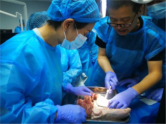 張東星老師杭州微創(chuàng)拔牙課實(shí)操培訓(xùn)分享 張東星老師杭州微創(chuàng)拔牙課實(shí)操培訓(xùn)分享