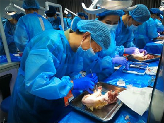 張東星老師杭州微創(chuàng)拔牙課實(shí)操培訓(xùn)分享 張東星老師杭州微創(chuàng)拔牙課實(shí)操培訓(xùn)分享